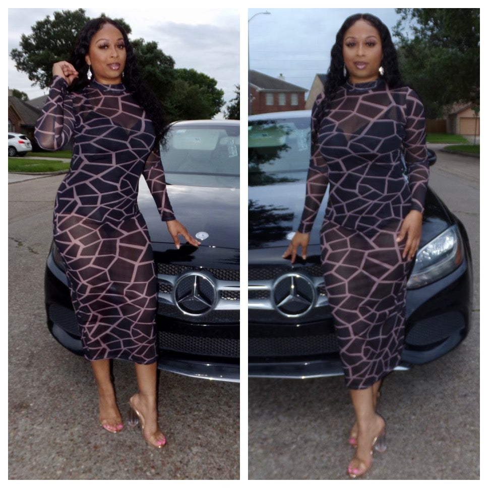 Dress collection Long sleeve see-through bodycon dress