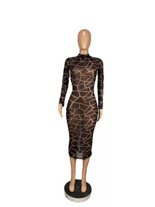 Dress collection Long sleeve see-through bodycon dress